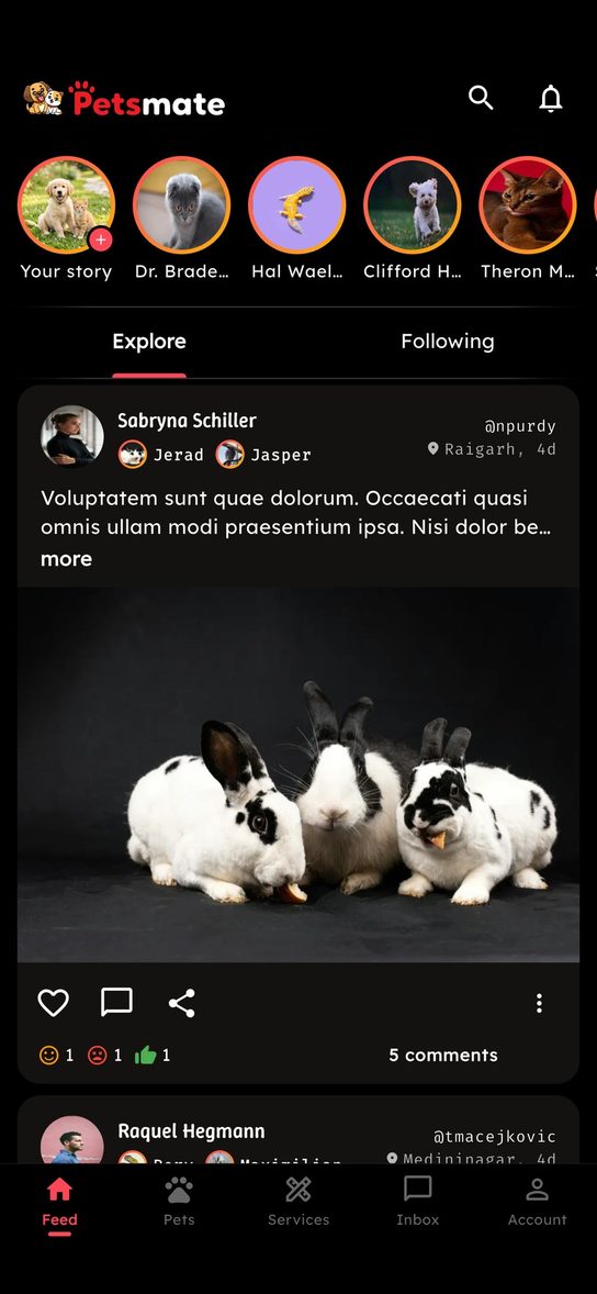 Petsmate app pet community feed with stories and posts