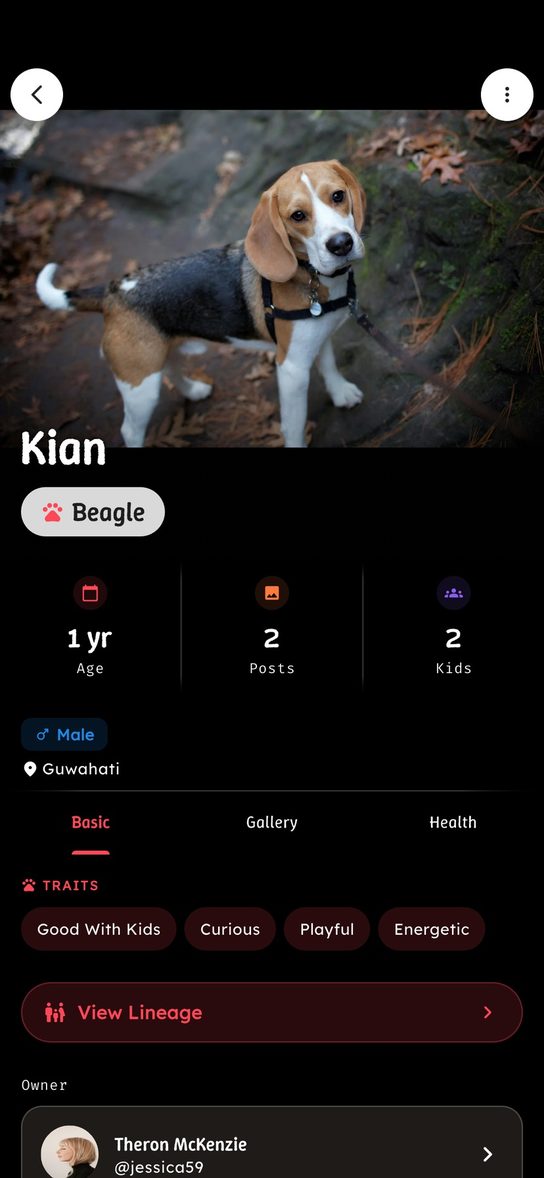 Petsmate app pet profile showing breed, age and temperament traits